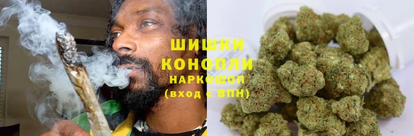 ешки Алексин