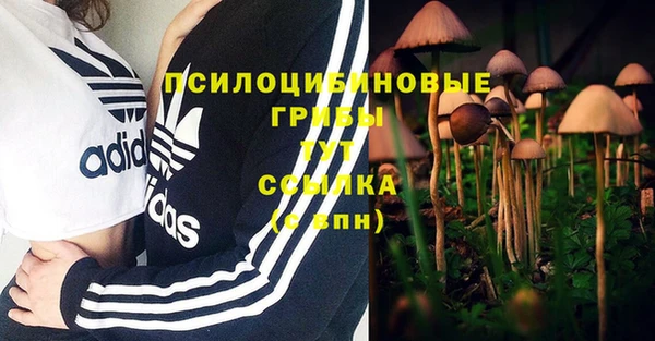 apvp Рославль