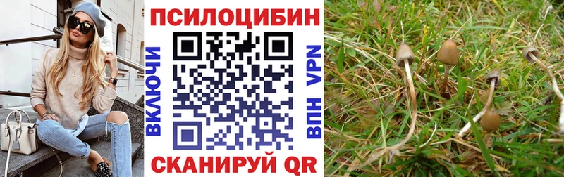 где найти наркотики  Лагань  Псилоцибиновые грибы прущие грибы 